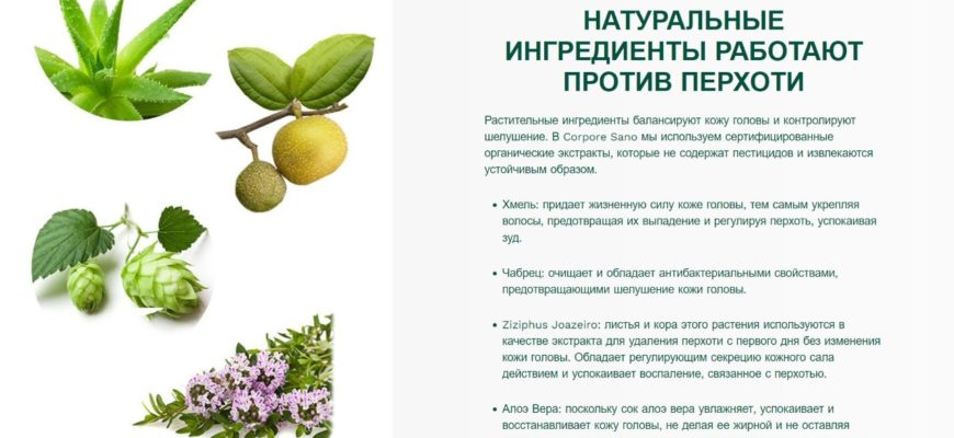 ispolzuem sol protiv perhoti
