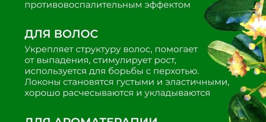 poleznye svojstva rastenij dlya volos