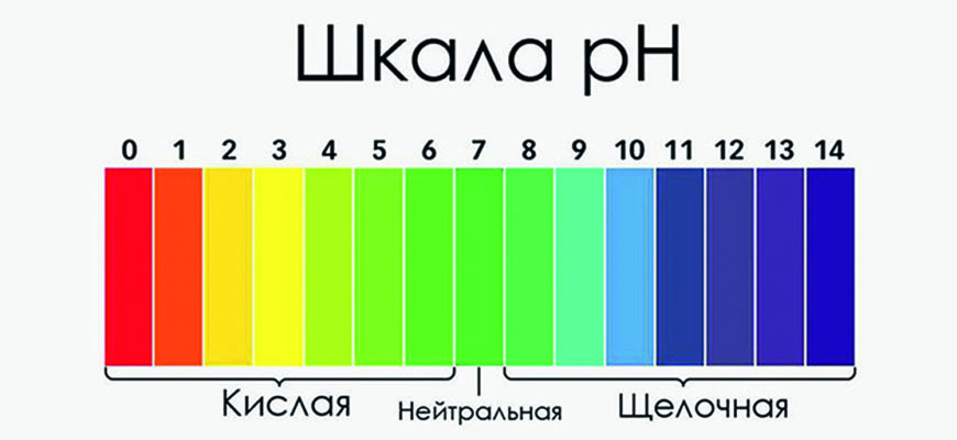 vidy krasitelej dlya volos